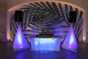 Miami DJ