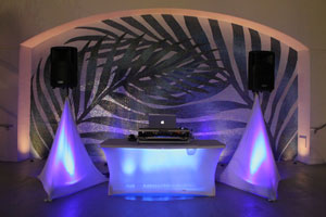 Miami DJ